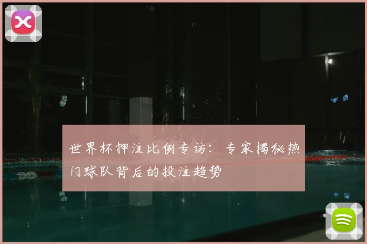世界杯押注比例专访:专家揭秘热门球队背后的投注趋势