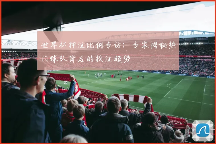 世界杯押注比例专访:专家揭秘热门球队背后的投注趋势
