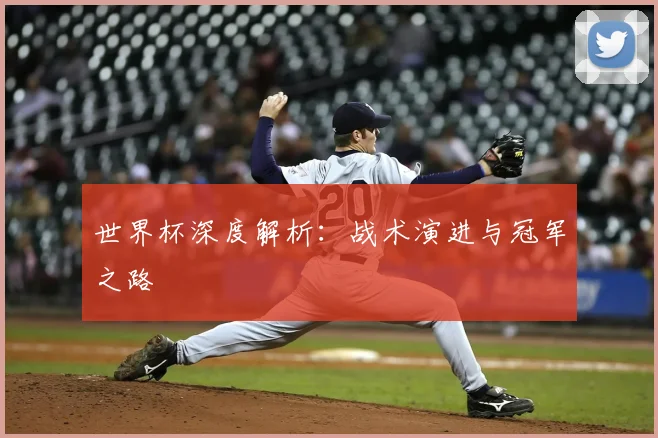 世界杯深度解析:战术演进与冠军之路